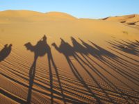 Con autocaravana por el desierto de Marruecos