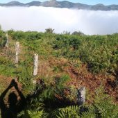 PAÍS VASCO Y NAVARRA: UN VIAJE EN AUTOCARAVANA MÁGICO